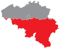 Spitz Züchter in Wallonische Region,Hennegau, Lüttich, Luxemburg, Namur, Wallonisch-Brabant, Region Wallonien